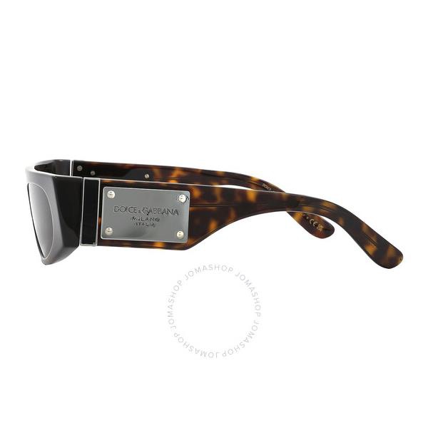 돌체앤가바나 돌체앤가바나 Dolce & Gabbana Dark Brown Browline Ladies Sunglasses DG4411 502/73 54