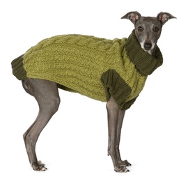 LISH Green Large Wilmot Sweater 221380M669005