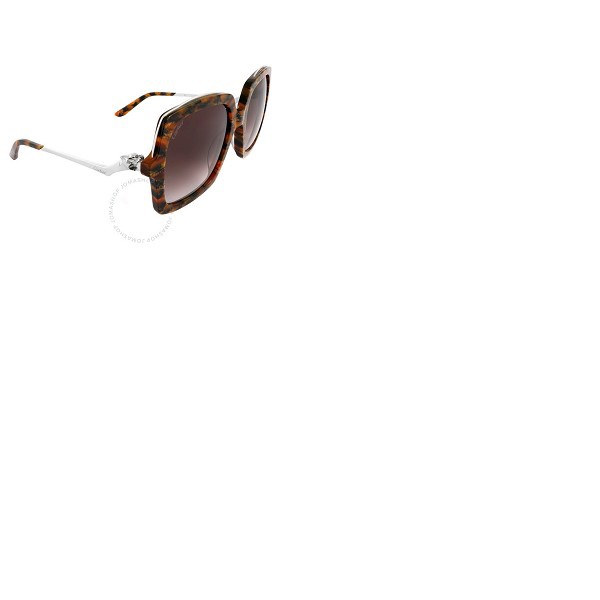  Cartier Brown Gradient Square Ladies Sunglasses CT0117SA 003 54