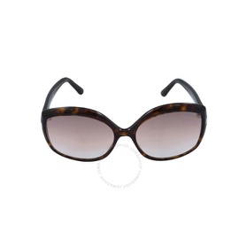 톰포드 Tom Ford Gradient Brown Butterfly Ladies Sunglasses FT0919 52F 60