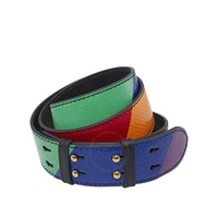 버버리 Burberry Ladies Rainbow Leather Belt Bag Strap 4080163