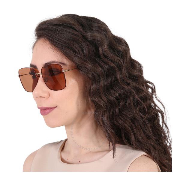  디올 Dior Brown Square Ladies Sunglasses STELLAIRE1 006J/2M 59