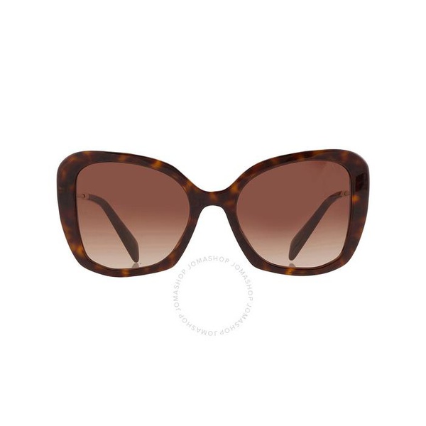 프라다 Prada Brown Gradient Butterfly Ladies Sunglasses PR 03YS 2AU6S1 53