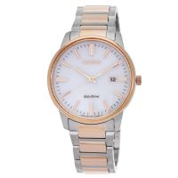 Citizen Eco-Drive Silver Dial Watch