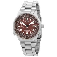 Citizen Perpetual World Time Watch