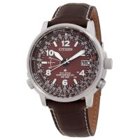 Citizen Promaster Sky Perpetual World Time Brown Dial Mens Watch