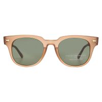 French Connection 54281FCU830 Green Round Ladies Sunglasses