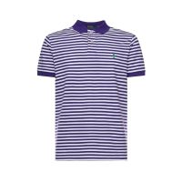 Polo Ralph Lauren Logo Embroidered Striped Polo Shirt