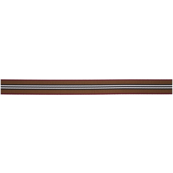 버버리 버버리 Burberry Brown Icon Stripe Belt 231376M131002