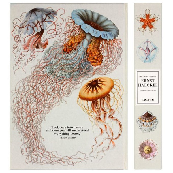 TASCHEN The Art and Science of Ernst Haeckel, XXL 231911M618010
