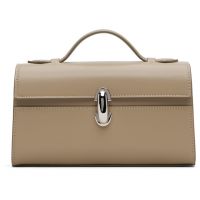 Savette Taupe Symmetry Pochette Bag 252163F046011