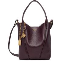 Brown Small Chloe Spin Tote 261338F049001